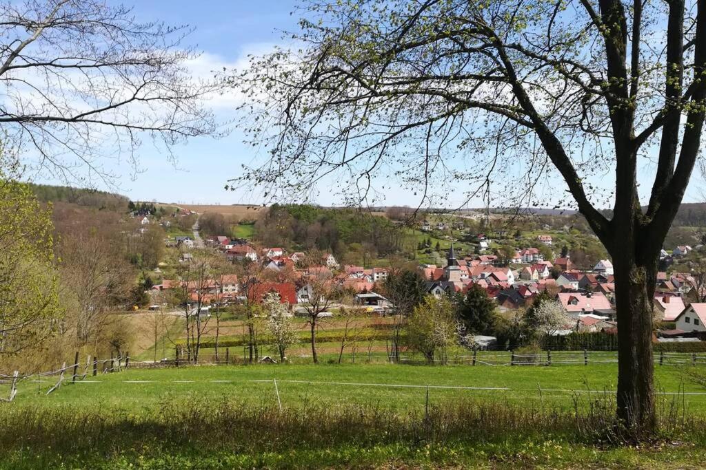 Ferienhaus Zum Kuckuck, Wng 2, Urlaub Im Eichsfeld Kallmerode Zewnętrze zdjęcie