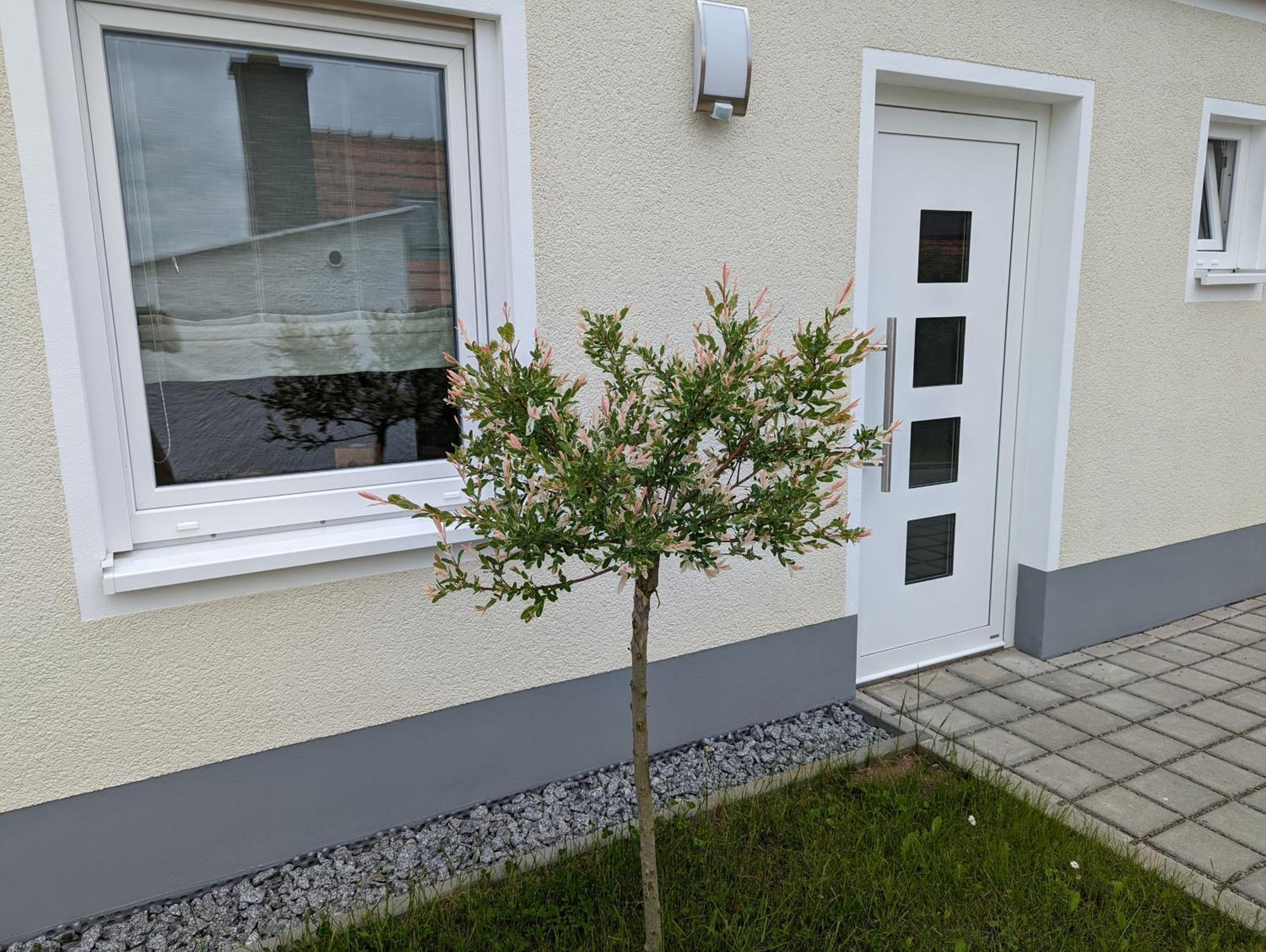Ferienhaus Zum Kuckuck, Wng 2, Urlaub Im Eichsfeld Kallmerode Zewnętrze zdjęcie